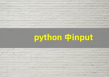 python 中input